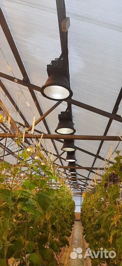 Продам фито светильники для рассады растений