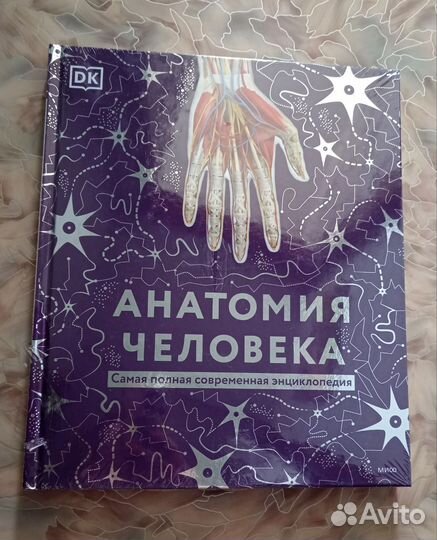 Анатомия человека