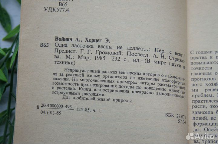 Одна ласточка весны не делает Войнич Херцег