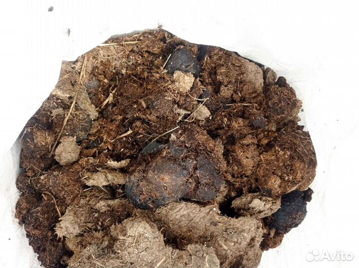 Конский навоз