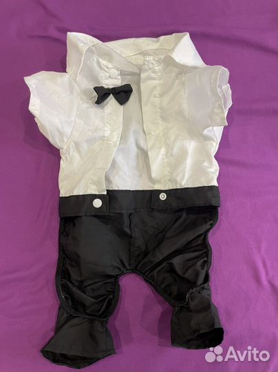 Костюм на собачку
