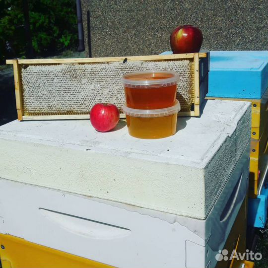 Мед, мёд сотовый