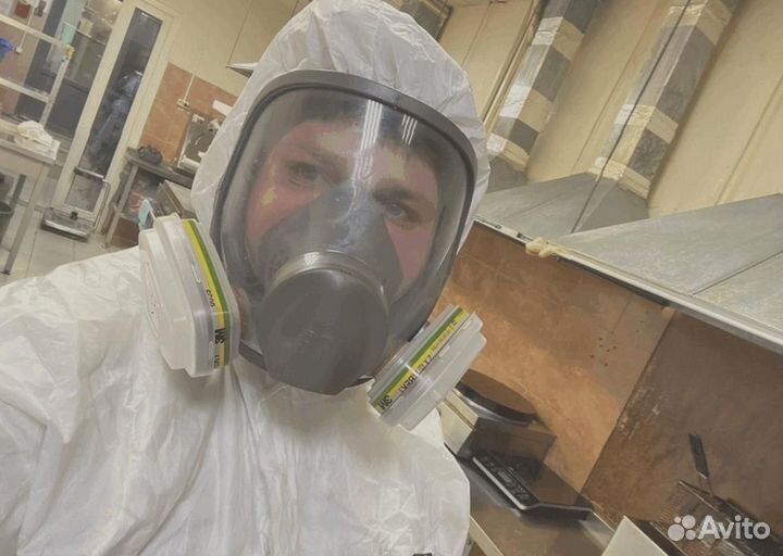 Уничтожение клопов тараканов грызунов