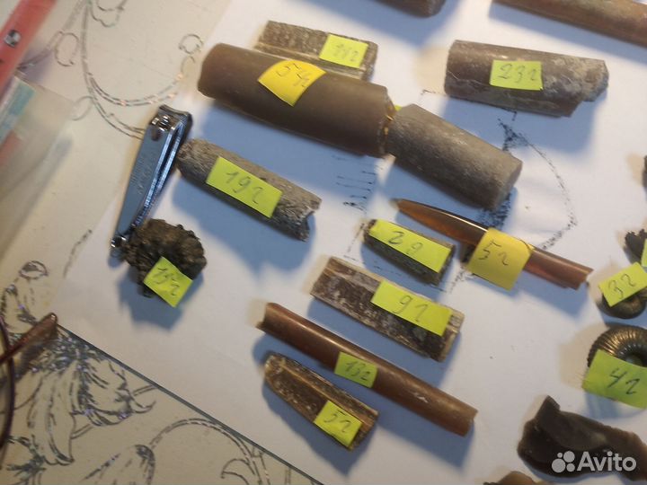 Окаменелости и камни