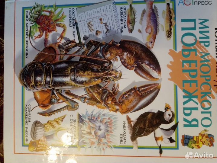 Продаю интереснейшую книгу формата А4