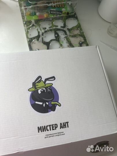 Мистер Ант муравьиная ферма