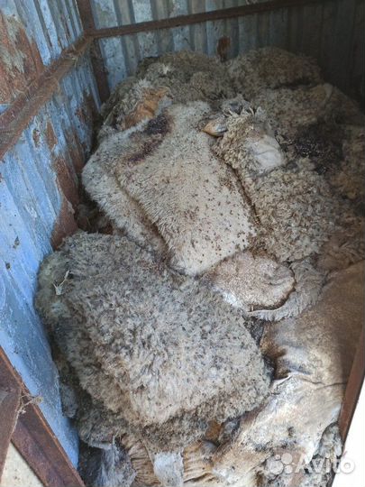 Шерсть мериноса