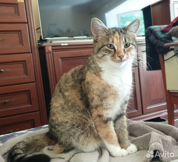 Милашка и нежнятина Мэри