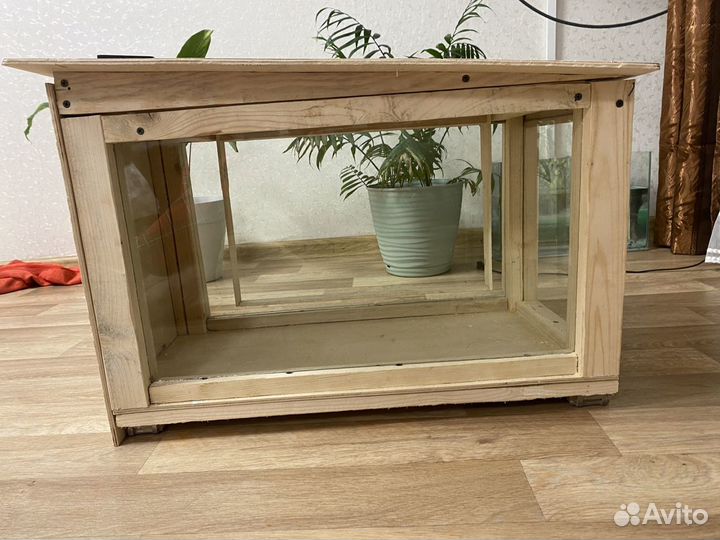 Прозрачный улей