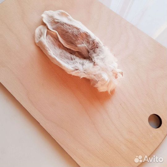 Лакомства для собак