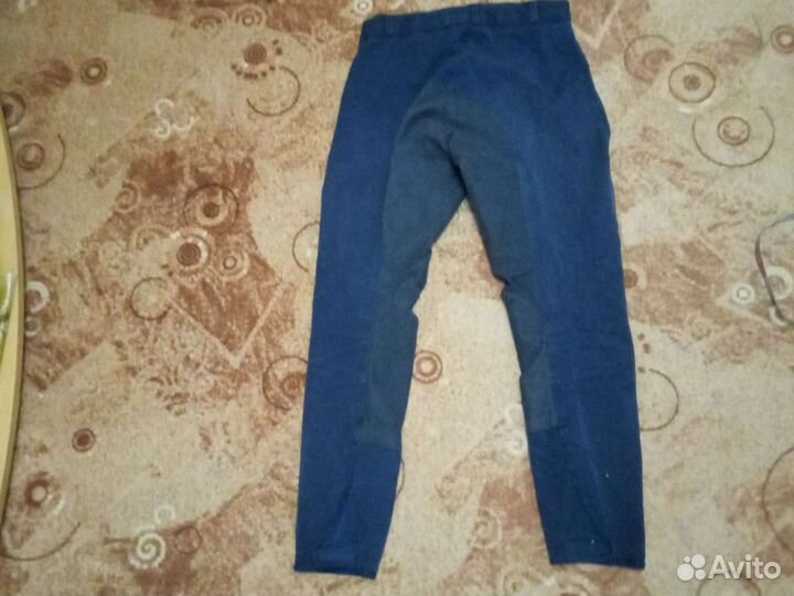 Конные бриджи