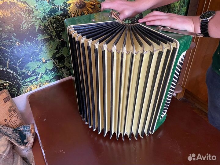 Аккордеон