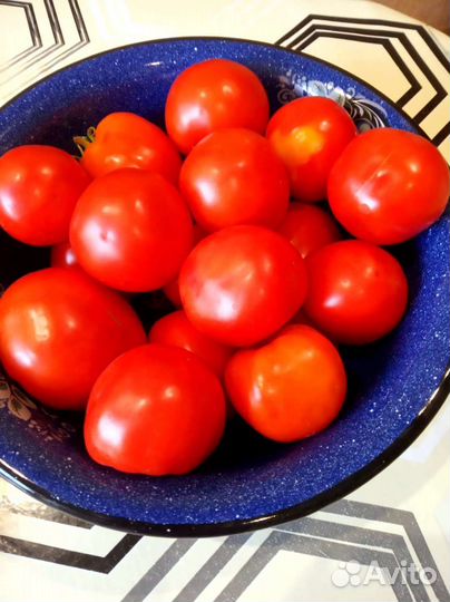 Помидоры