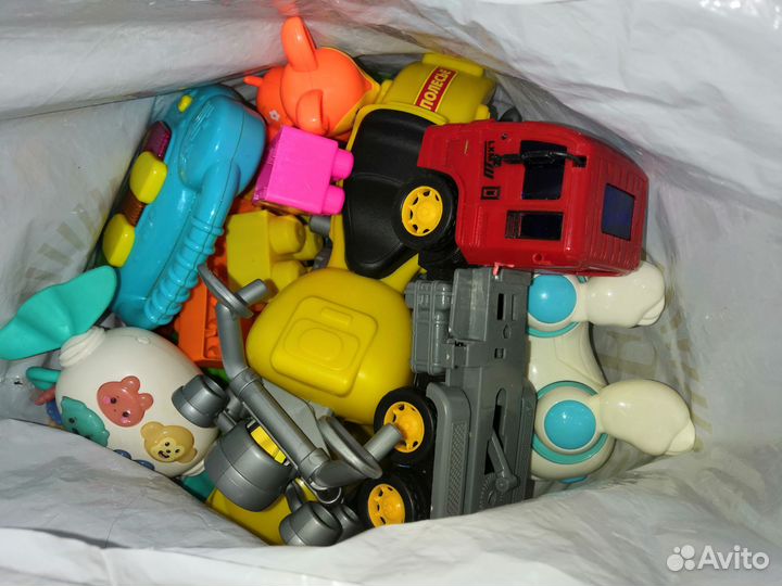 Отдам бесплатно