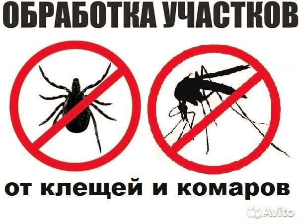 Обработка от клопов и тараканов Кротов Крыс Мышей