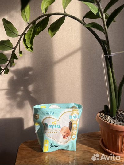 Pampers premium care 1