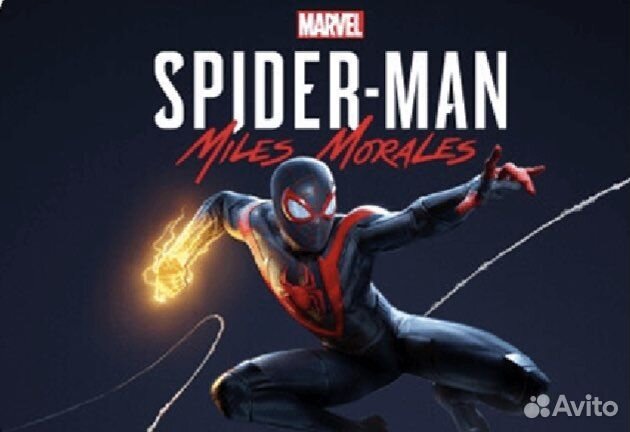 Spider Man