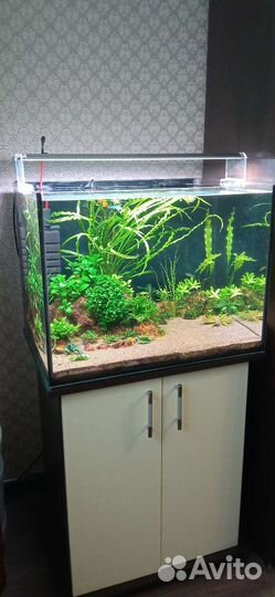Аквариум 120л