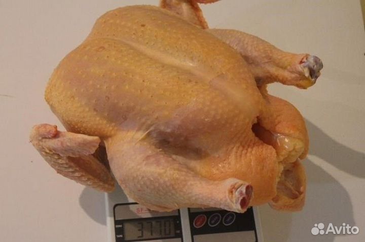 Продажа продукты