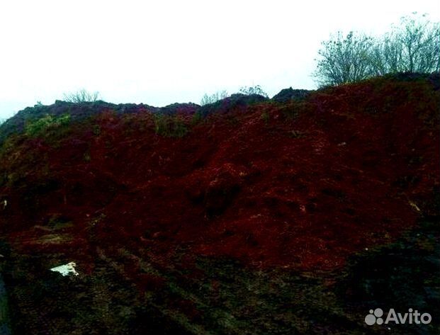 Чернозем, навоз с доставкой. Камаз 15 тонн