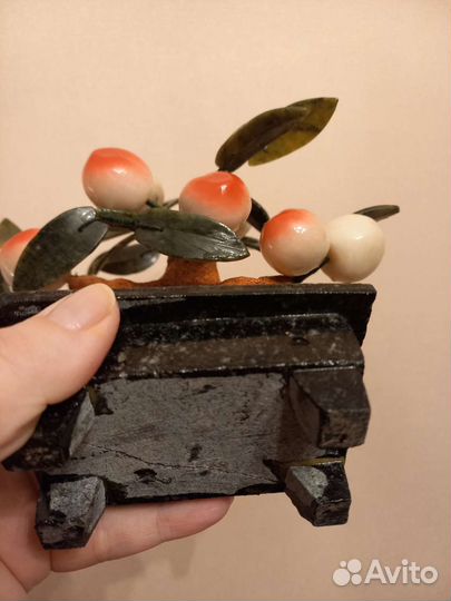 Дерево персиковое