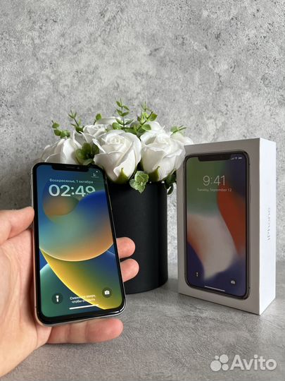 iPhone X, 64 ГБ