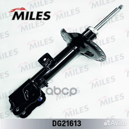 Замена на DG21613-01 Амортизатор передний правы