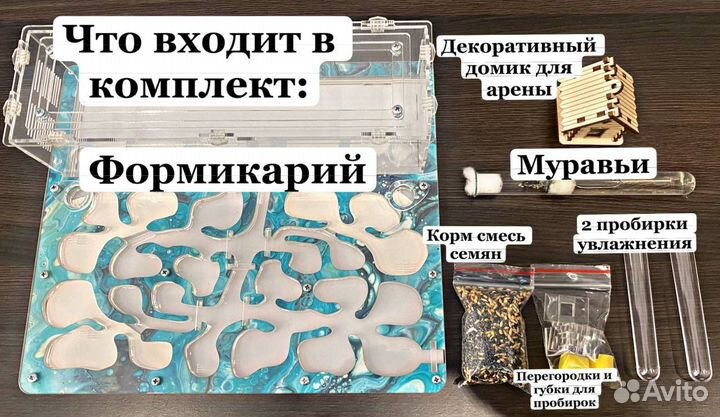 Муравьиная ферма большая