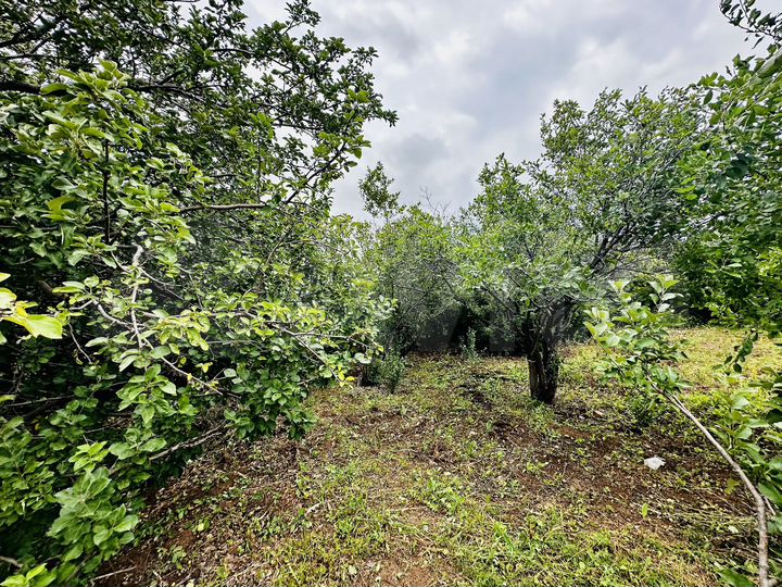 Дача 20 м² на участке 8 сот.