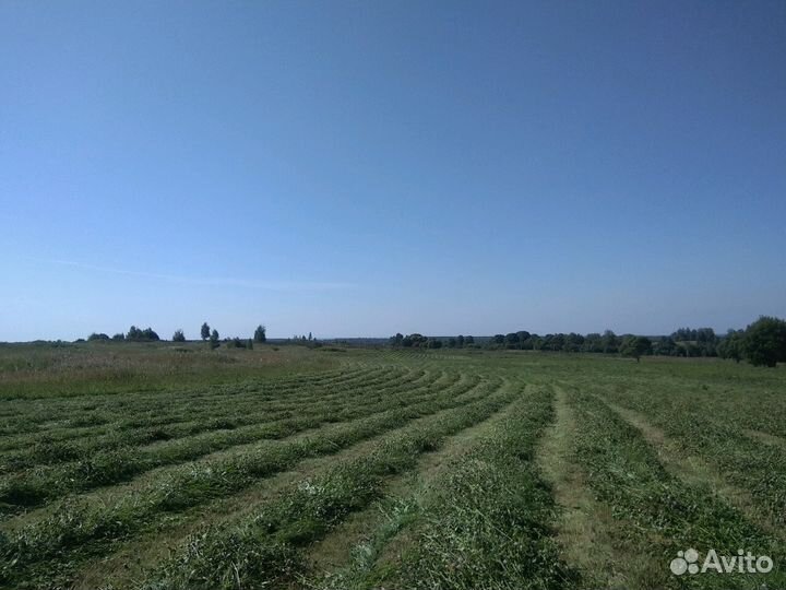 Сено сеяное, луговое, разнотравье