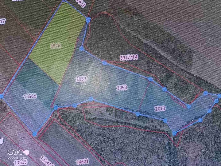 Участок 50 га (СНТ, ДНП)