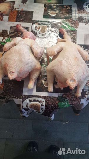 Мясо домашней курицы