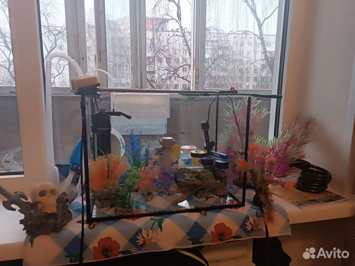 Аквариум для рыб