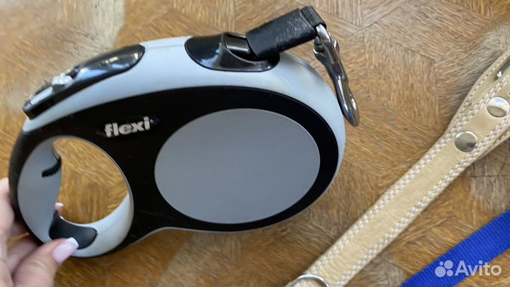 Ошейники, шлейки и поводки для собак