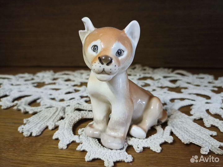 Собака и лев лфз