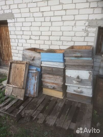 Ульи для пчёл