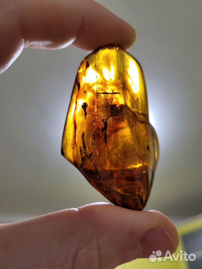 Янтарь крупный прозрачный