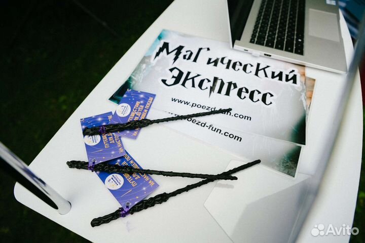 Магический экспресс поезд