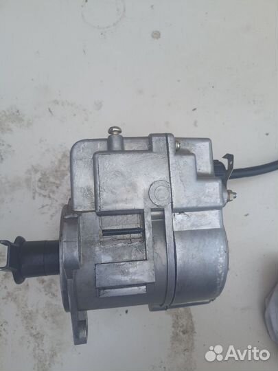 Магнето на муравей