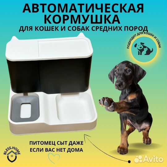 Автоматическая кормушка для кошек и собак