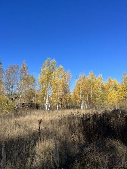 Участок 35 сот. (ИЖС)