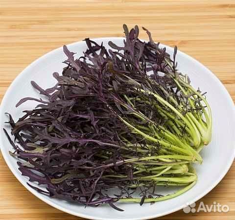 Микрозелень семена