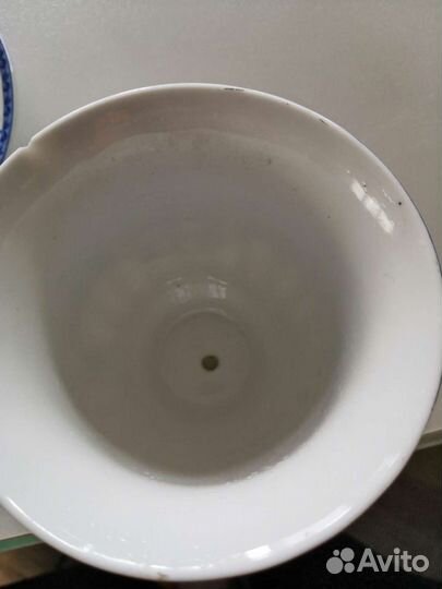 Чашка для растений