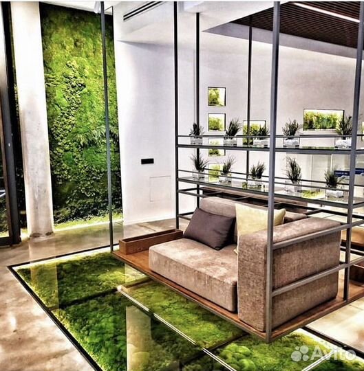 Фитопанно из мха 50 см