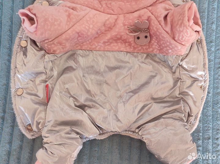 Носки для собак