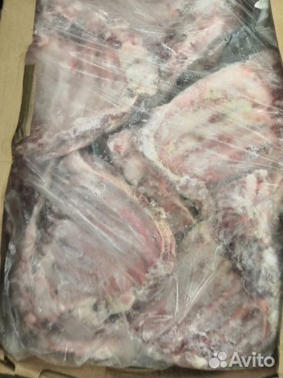 Корм для животных