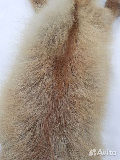 Шкуры лисы и песца