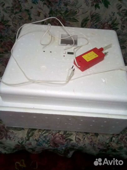 Инкубатор - идеальная наседка Торг