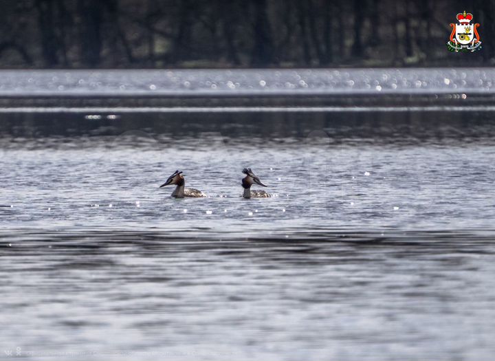 Участок 30 сот. (ИЖС)