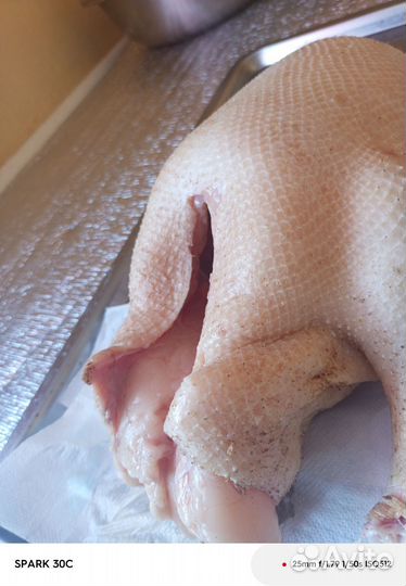 Гусиное мясо